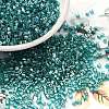 Transparent Colours Luster Glass Seed Beads SEED-S042-20B-07-1