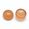 Natural Carnelian Cabochons X-G-P393-R41-10mm-2