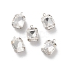 Rhinestone Pendants RGLA-P038-02P-06-1