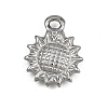 304 Stainless Steel Charms STAS-G363-12P-1
