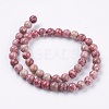Natural Fossil Coral Beads Strands G-F563-01-8mm-2