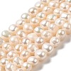 Natural Cultured Freshwater Pearl Beads Strands PEAR-E017-10-1