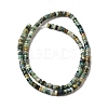 Natural Chrysocolla and Lapis Lazuli Beads Strands G-P444-07A-3