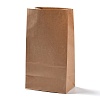 Rectangle Kraft Paper Bags CARB-K002-01B-02-1