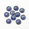Natural Blue Spot Jasper Cabochons G-R416-14mm-45-1