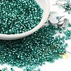 Glass Seed Beads X-SEED-S042-04B-29-1