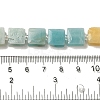 Natural Flower Amazonite Beads Strands G-L596-A14-01-5