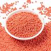 MIYUKI Round Rocailles Beads SEED-G008-RR0424-2