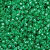 MIYUKI Round Rocailles Beads X-SEED-G009-RR0646-3