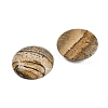 Natural Picture Jasper Cabochons G-H1596-FR-25mm-17-2