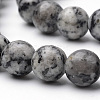 Natural Black Spot Stone Beads Strands X-G-S272-05-8mm-3