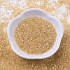 MIYUKI Delica Beads SEED-J020-DB0099-2