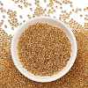 TOHO 11/0 Round Beads SEED-XTR11-0701-3