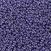 MIYUKI Round Rocailles Beads SEED-X0056-RR0434-3