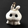 Halloween Theme Opaque Resin Pendants CRES-B005-03A-2