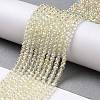 Electroplate Transparent Glass Beads Strands GLAA-H021-01B-FR04-3