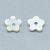 Freshwater Shell Beads SHEL-S275-010-2