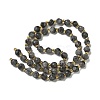 Natural Larvikite Beads Strands G-K387-A02-01-4