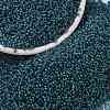 MIYUKI Round Rocailles Beads SEED-X0056-RR2256-1