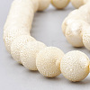 Electroplate Shell Pearl Beads Strands SHEL-T005-10-M-4