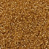 MIYUKI Round Rocailles Beads LS-X-SEED-G007-RR0004-3