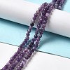 Natural Lepidolite/Purple Mica Stone Beads Strands G-B029-B03-01-4