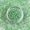 8/0 Glass Seed Beads SEED-A015-3mm-2207-3