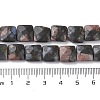 Natural Llanite Beads Strands G-K359-B20-01-5