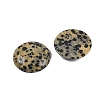 Natural Dalmatian Jasper Cabochons G-H1596-FR-25mm-07-2