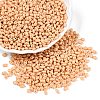 Baking Paint Glass Seed Beads SEED-T006-03E-3