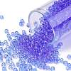 TOHO Round Seed Beads X-SEED-TR08-0013-1