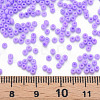 13/0 Glass Seed Beads SEED-T005-14A-A17-4