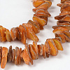Natural Shell Beads Strands PBB226Y-1-3