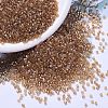 MIYUKI Delica Beads X-SEED-J020-DB1241-1