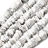 Natural Howlite Beads Strands G-A285-A12-01-2