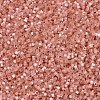 MIYUKI Delica Beads X-SEED-J020-DB1863-3