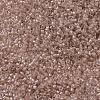 MIYUKI Delica Beads X-SEED-J020-DB0069-3