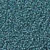MIYUKI Delica Beads SEED-X0054-DB1283-3