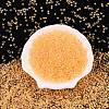 8/0 Inside Colours Transparent Glass Seed Beads SEED-T007-06F-1