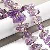 Natural Amethyst Beads Strands G-C179-D01-01-2