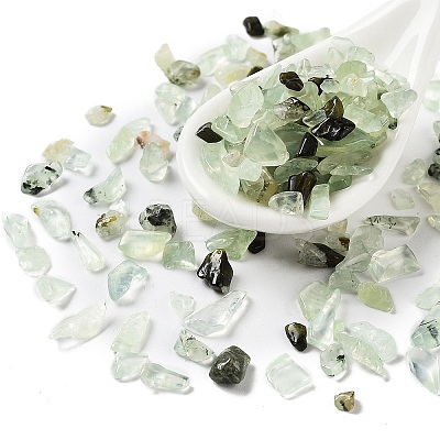 Natural Prehnite Chips Beads G-M428-04B-1