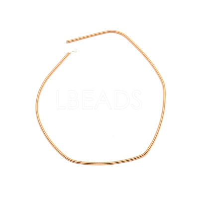 Round Copper Spring Wire CWIR-WH0010-01B-G-1
