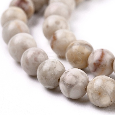 Natural Maifanite/Maifan Stone Beads Strands G-I187-6mm-01-1