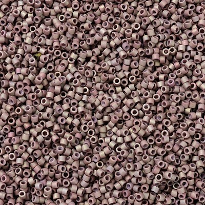 MIYUKI Delica Beads X-SEED-J020-DB1061-1