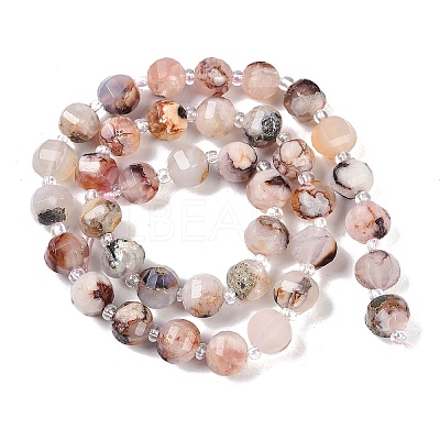 Natural Cherry Blossom Agate Beads Strands G-G182-B40-03-1