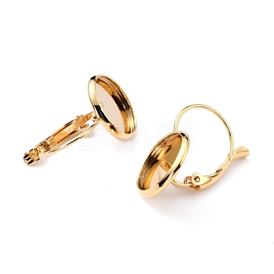 304 Stainless Steel Leverback Earring Settings X-STAS-F191-03G-16mm-1
