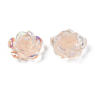 Transparent Resin Cabochons CRES-N030-001B-05-1