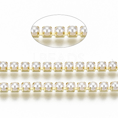 Brass Claw Chains CHC-Q012-SS8.5-01G-1