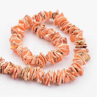 Natural Shell Bead Strands BSHE-P010-09-1