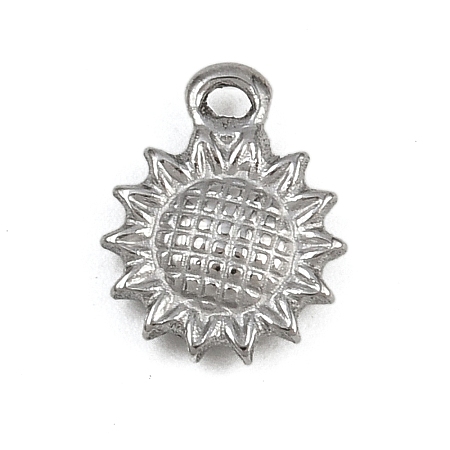 304 Stainless Steel Charms STAS-G363-12P-1